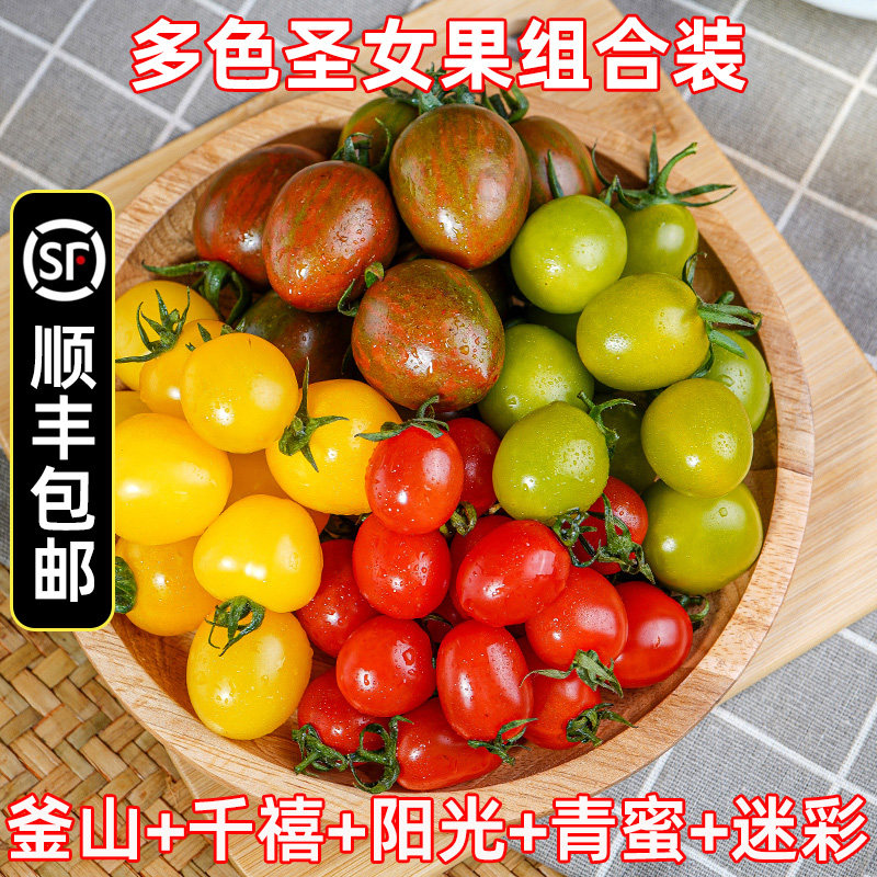圣女果小番茄多色组合釜山88阳光绿色迷彩当季新鲜小柿子顺丰包邮