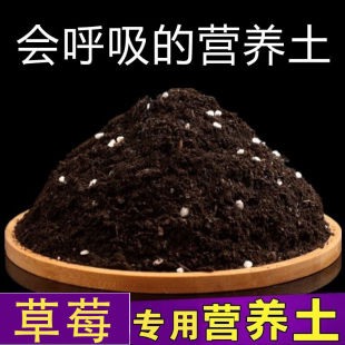 纤丰奇种草莓 营养土花土家用有机肥料专用土壤透气草莓土种植土