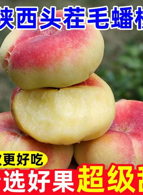 陕西大荔蟠桃超甜有机毛蟠桃鲜桃现摘优质精品特级一级生态大果5J