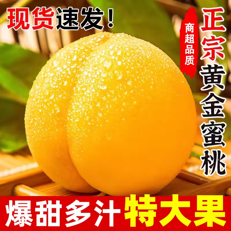 特级黄桃蜜桃新鲜水果现摘软香甜陕西产地直发自家种植商超品质5J