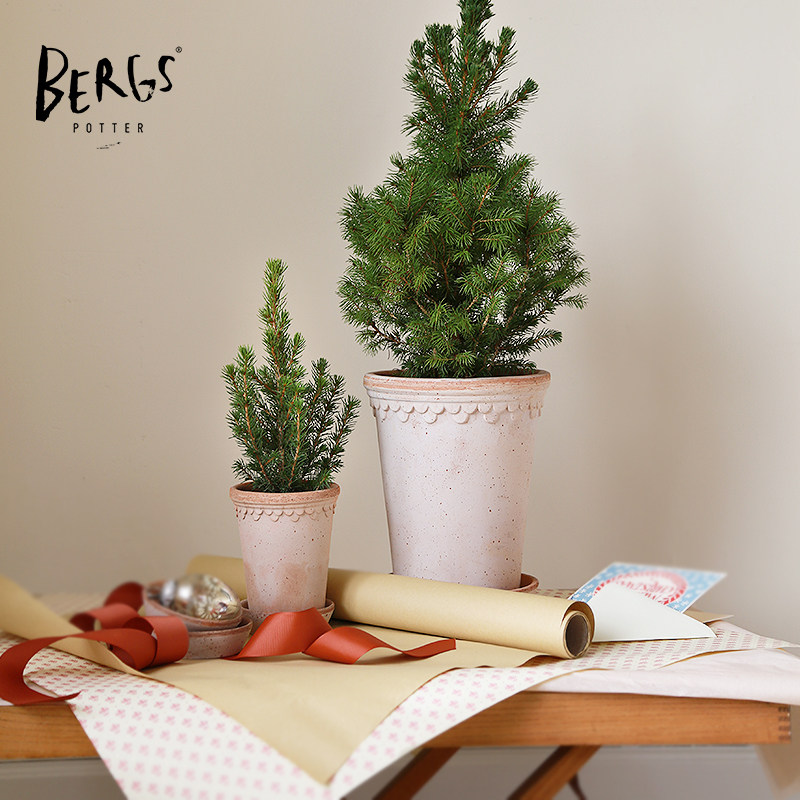 bergs宝格士 陶盆手工制作高圆盆北欧丹麦设计兰花种球根室内外盆,鲜花速递/花卉仿真/绿植园艺,花盆,淘宝优惠券,粉丝福利购,淘宝优惠卷