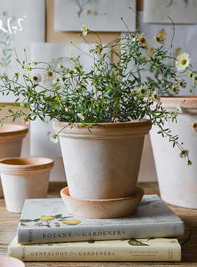青野园艺家Bergs花盆芙洛拉陶土盆 宝格仕 手工陶盆丹麦设计室内