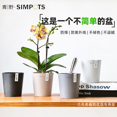 兰花专用盆，多肉/长寿花控根盆