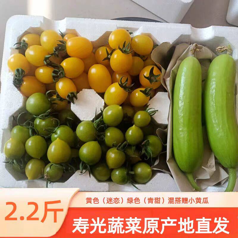 寿光蔬菜水果两种小柿子青甜迷恋贝贝小番茄混搭赠四根奶油小黄瓜
