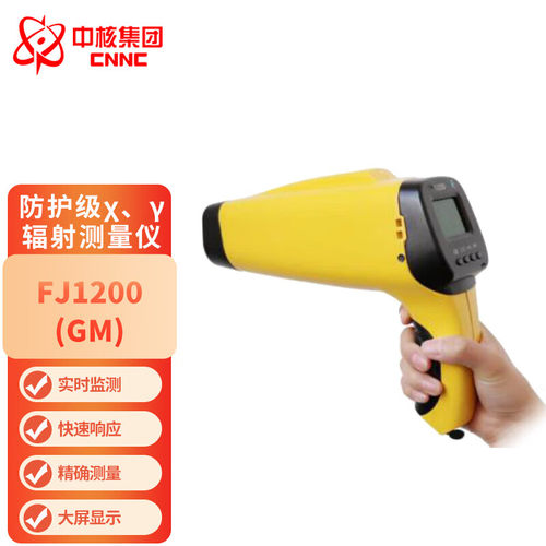 中辐核仪FJ1200（GM）防护级