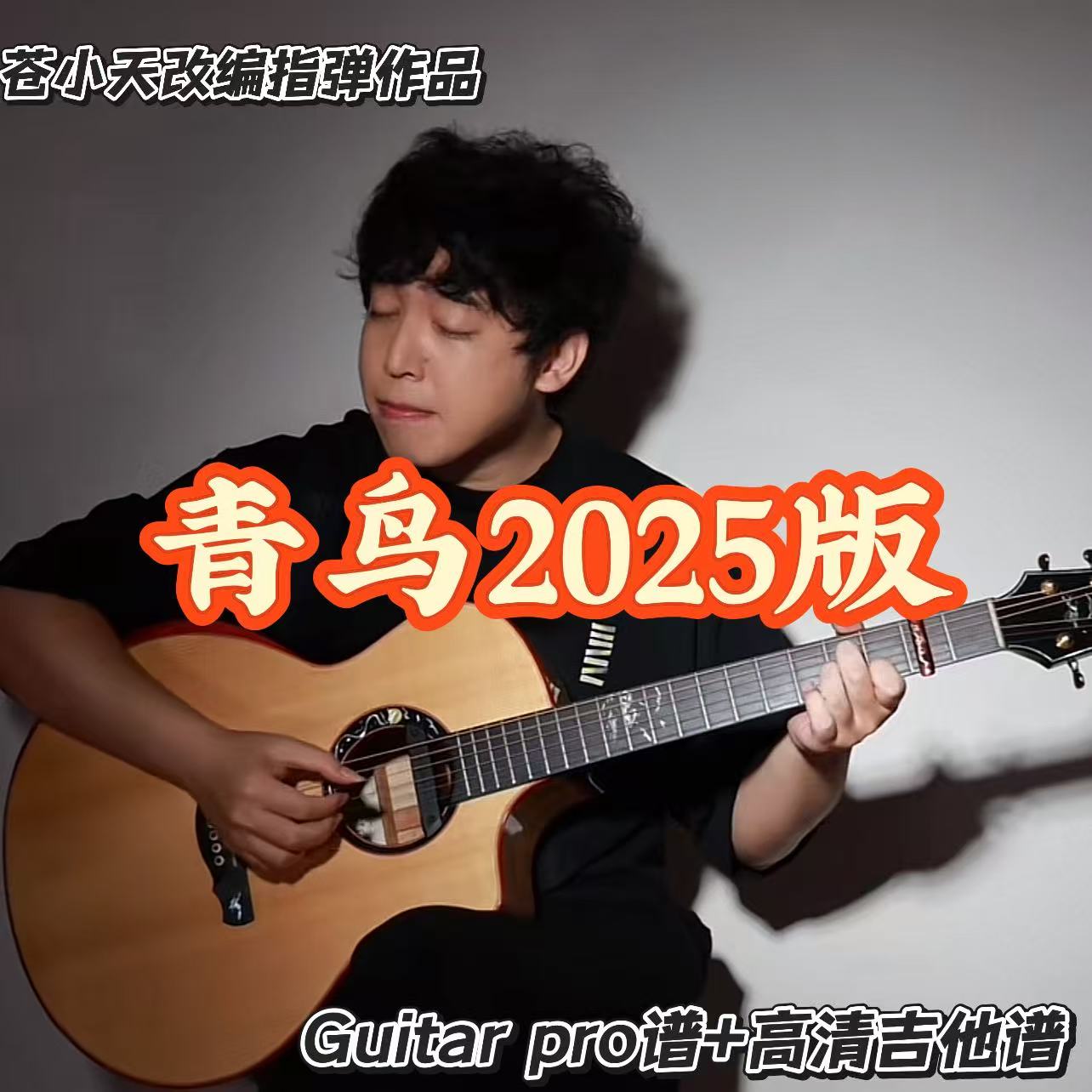 苍小天改编指弹作品《青鸟2025版》 guitar pro谱+高清吉他谱