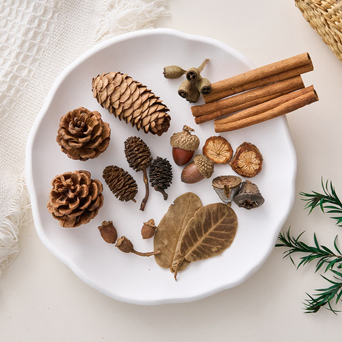 森林复古拍照道具天然干花摆件