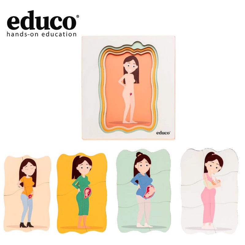 四层成长拼图孕育生命阶段变化