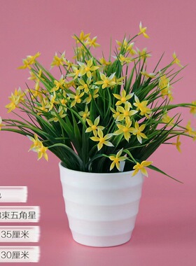 仿真假五角花塑料花套装家居装饰品摆件室内餐桌客厅插花艺小盆栽