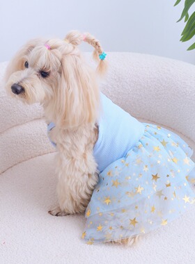 猫狗通用条坑针织蓝色星星网纱蓬蓬裙 四季穿着宠物狗裙子