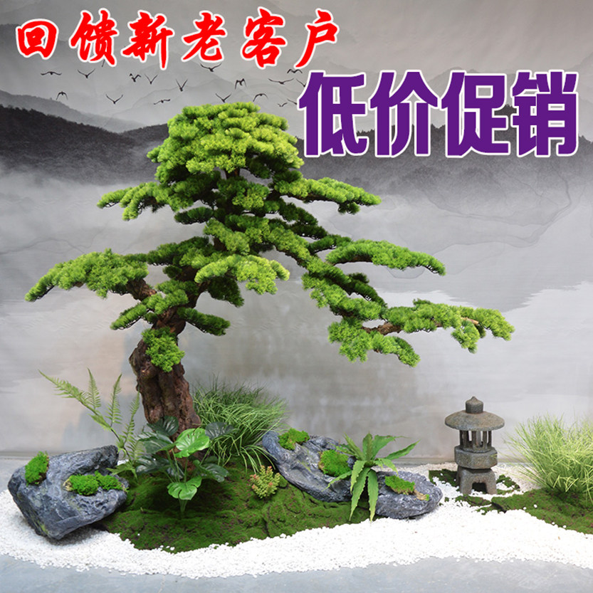 罗汉酒店仿真展厅大型美人松盆景