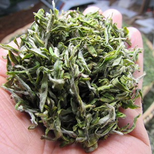 甘露茶2025新茶高端贵州凤冈毛尖类绿茶回甘（三级：有芽有叶）