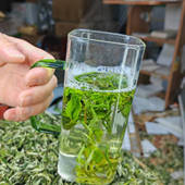 2026春尖新茶绿茶清香型头采明前云南春尖西北罐罐茶烘青茶叶