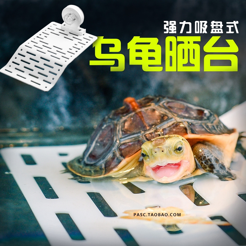 巴西龟草龟黄缘乌龟晒台挂式剃刀黄头晒背补钙浮台爬梯爬坡造景