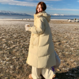 25冬新设计感奶黄色连帽长款羽绒棉棉衣外套170-2588-P230-K338，女装棉衣/棉服，浙宝170