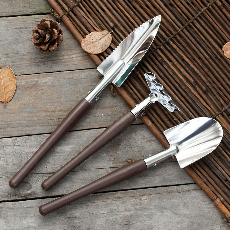 精装三件套多肉植物盆栽小铲子