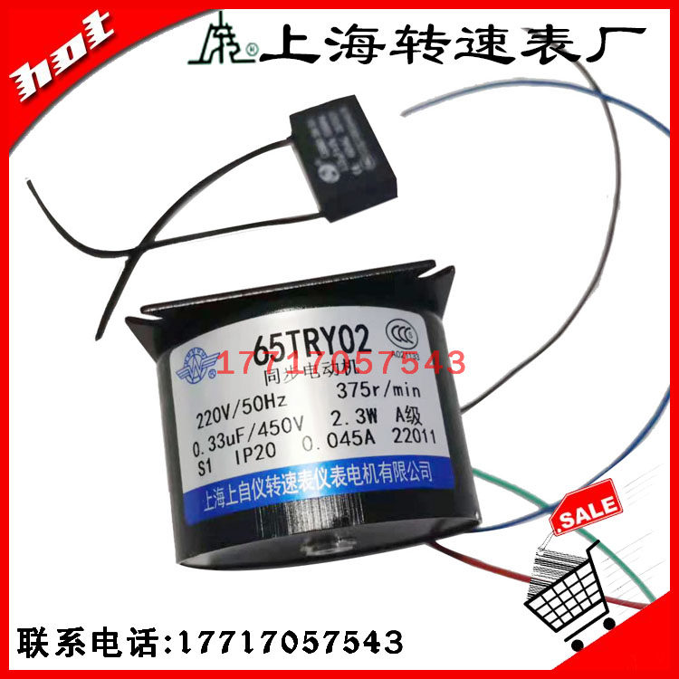 Shanghai Shangziyi Speedometer Instrument Motor Co., Ltd. 65TRY02 Synchronous Motor 220V 50HZ