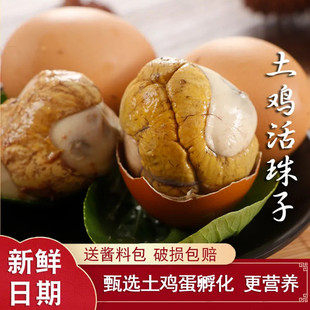 HZZ40枚活珠子新鲜13天五香味毛蛋活珠子熟开袋即食毛鸡蛋钢化蛋