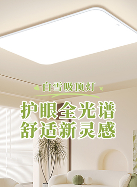 SD雷士照明客厅主灯2025新款简约中山灯全光谱护眼吸顶灯全屋套餐