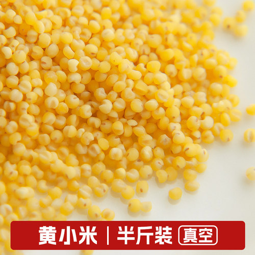 新货黄小米软糯沁香口感佳