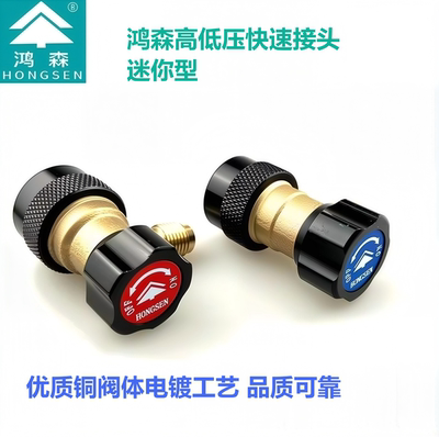 鸿森迷你型汽车空调加氟