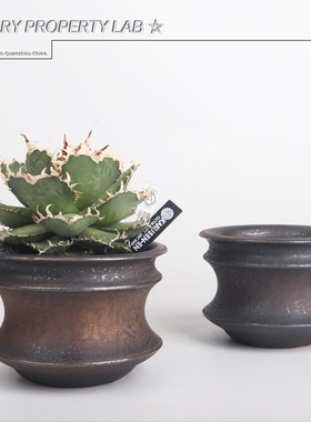 86龟甲龙惠比须笑大黑象牙宫潮流植物花盆植本钵SRL花盆手工陶瓷