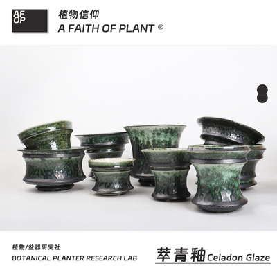 154潮流块根植物龙舌兰龟甲龙块根SRL陶瓷手工花盆NEIGHBORHOOD