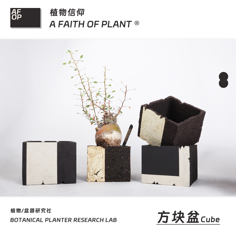 方盆潮流块根植物龙舌兰龟甲龙块根SRL陶瓷手工花盆NEIGHBORHOOD