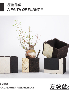 方盆潮流块根植物龙舌兰龟甲龙块根SRL陶瓷手工花盆NEIGHBORHOOD