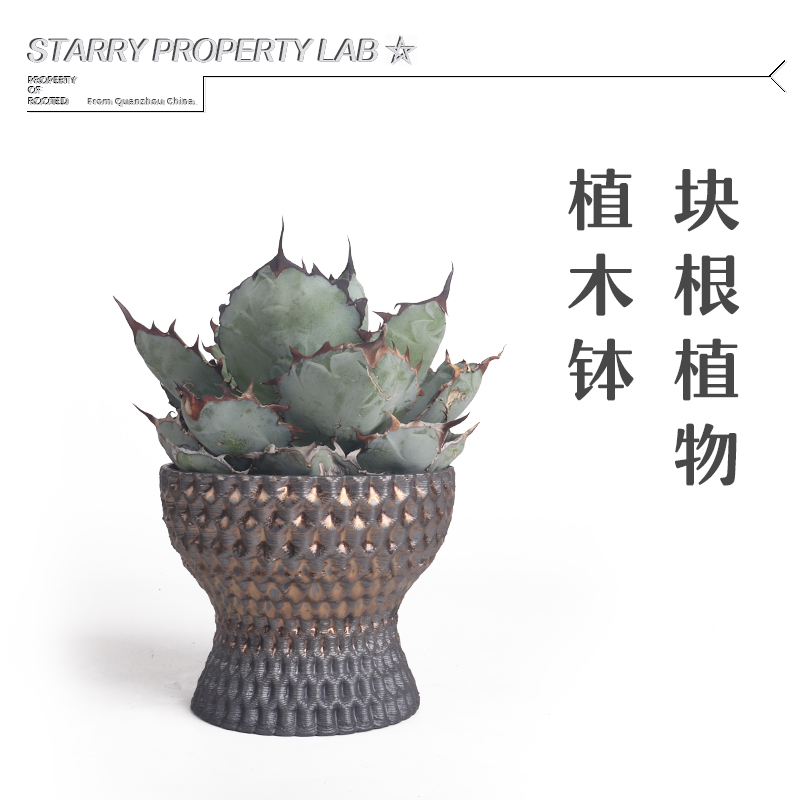 50潮流块根植物花盆仙人球兜象足漆树惠比须笑大黑象牙宫植木钵