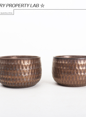 151潮流块根植物龙舌兰龟甲龙块根SRL陶瓷手工花盆NEIGHBORHOOD