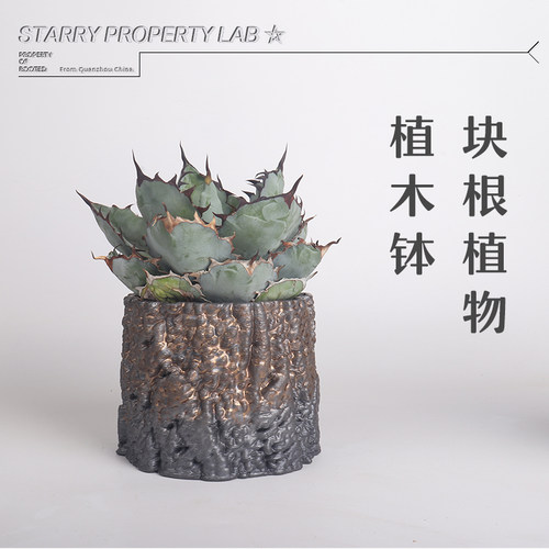 62潮流块根植物NBHD日式陶瓷金属釉仙人球牡丹龙舌兰绿植花盆