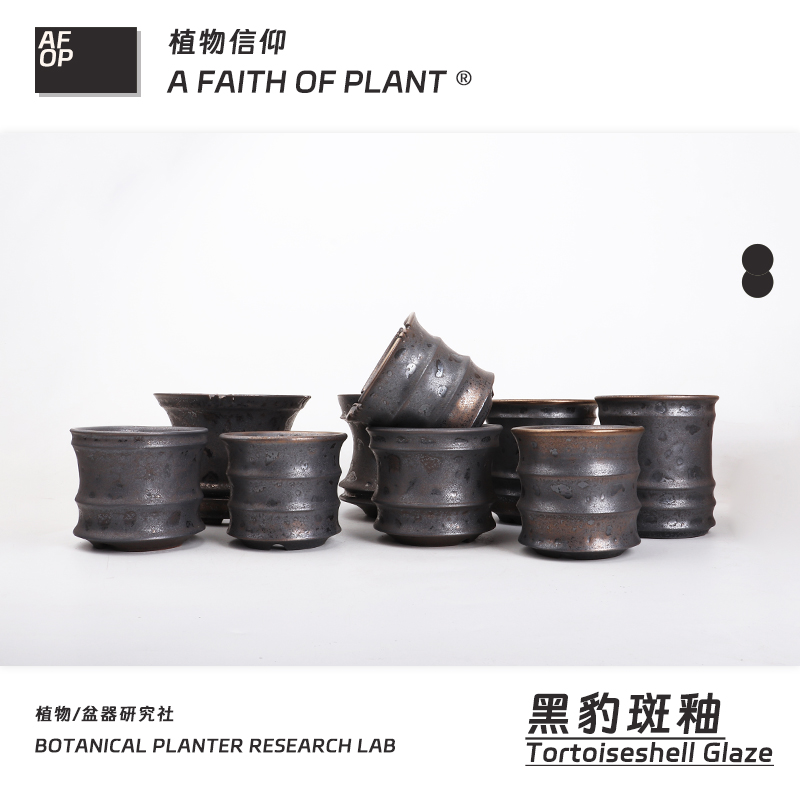 153潮流块根植物龙舌兰龟甲龙块根SRL陶瓷手工花盆NEIGHBORHOOD