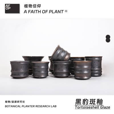 153潮流块根植物龙舌兰龟甲龙块根SRL陶瓷手工花盆NEIGHBORHOOD