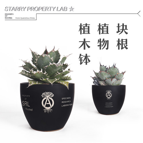 83日式潮流块根手工花盆仙人球惠比须笑大黑植木钵龙舌兰陶瓷花盆