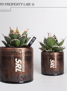 106直筒陶瓷龟甲龙惠比须笑大黑象牙宫潮流植物花盆植本钵SRL花盆