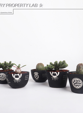 87潮流块根植物龙舌兰龟甲龙块根SRL花盆陶瓷NEIGHBORHOOD藤原浩