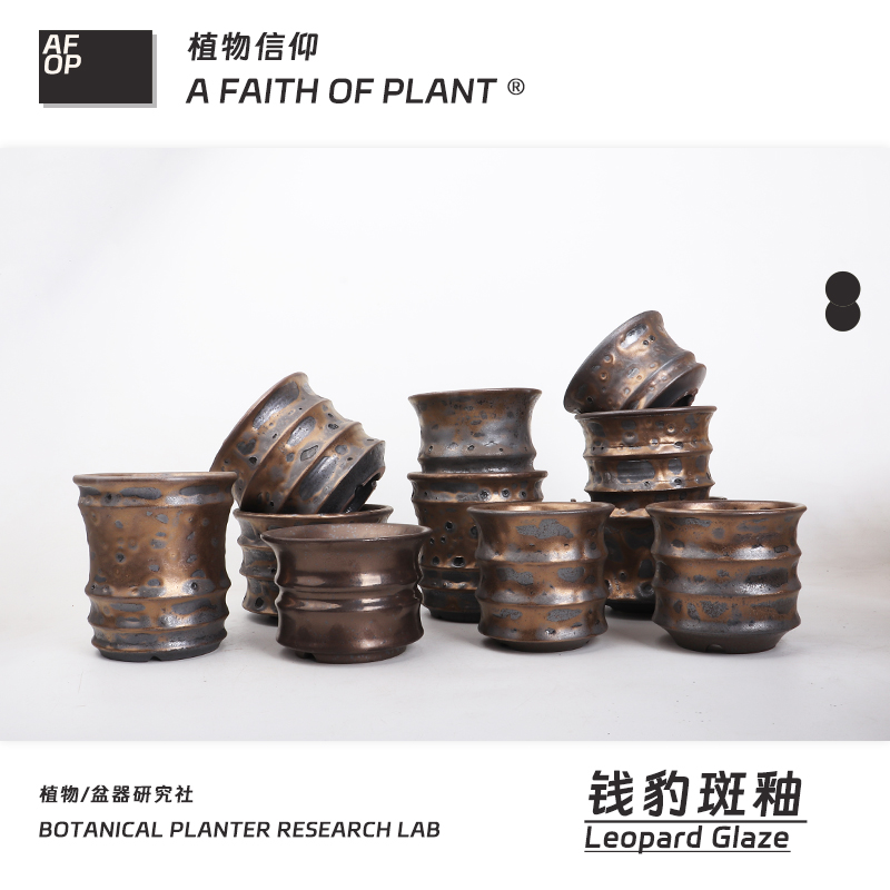 152潮流块根植物龙舌兰龟甲龙块根SRL陶瓷手工花盆NEIGHBORHOOD