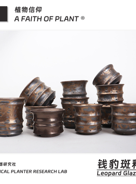 152潮流块根植物龙舌兰龟甲龙块根SRL陶瓷手工花盆NEIGHBORHOOD