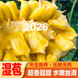 广西龙州新鲜湿苞菠萝蜜密当季湿包木菠萝榴莲蜜手撕软糯香甜2026