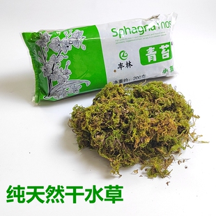 寄居蟹乌龟冬眠干苔藓水陆饲养爬虫宠物椰砖水草蝴蝶兰花营养土壤
