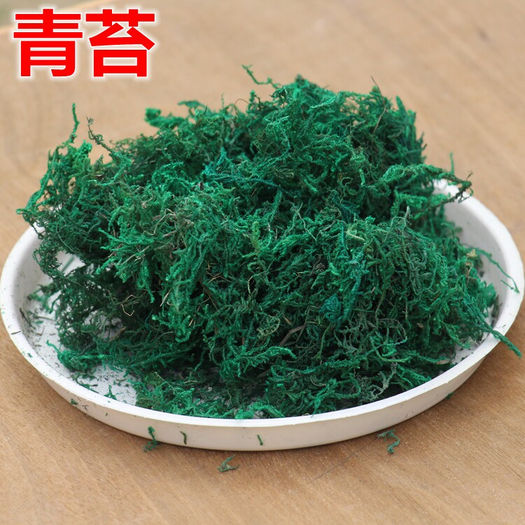仿真干苔藓草皮造景绿色青苔藓微景观布置花盆景盆栽铺面保湿装饰