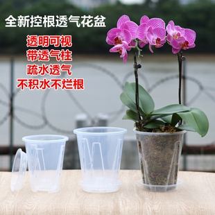 高透明蝴蝶兰种植专用花盆小盆栽兰花组盆控根透气兰花杯育苗花钵