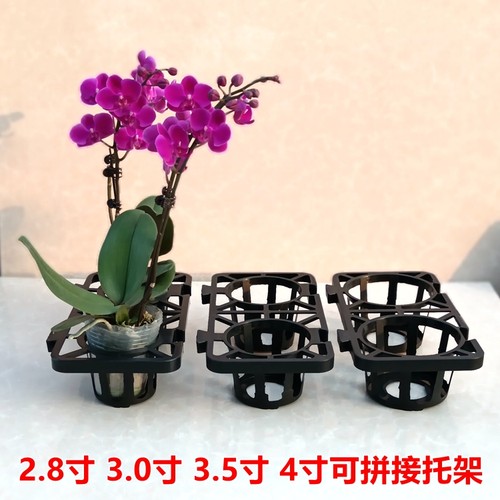 2.8寸3.5寸4寸蝴蝶兰拼组合托架兰花杯育苗钵底座托盘花盆定植篮