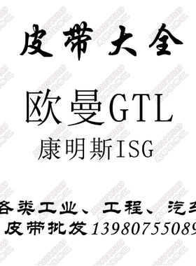 欧慢GTL超能版EST发电机X12风扇皮带5PK1235康机ISGe 10PK1326