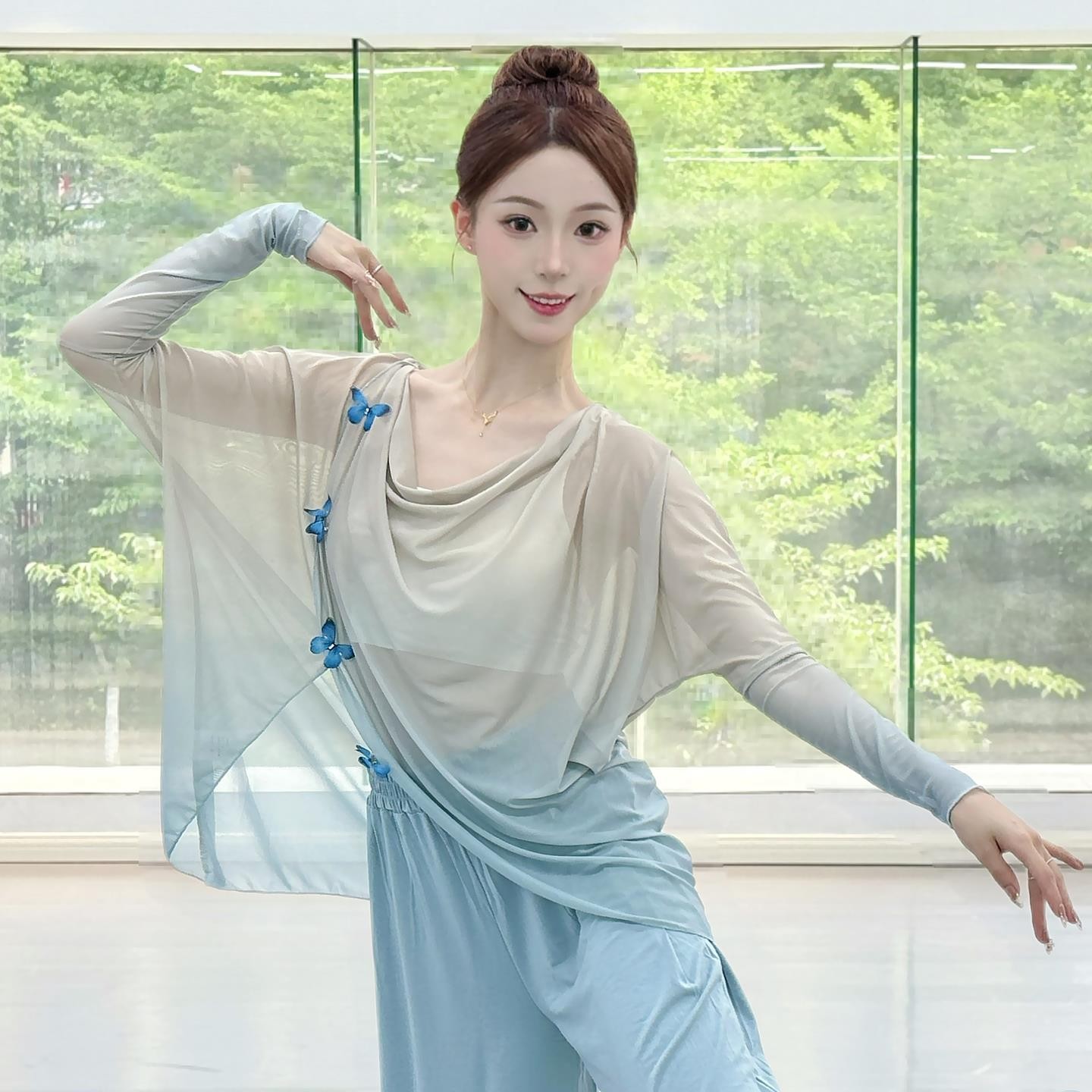 中国服舞蹈蝴蝶练功网纱渐变舞服