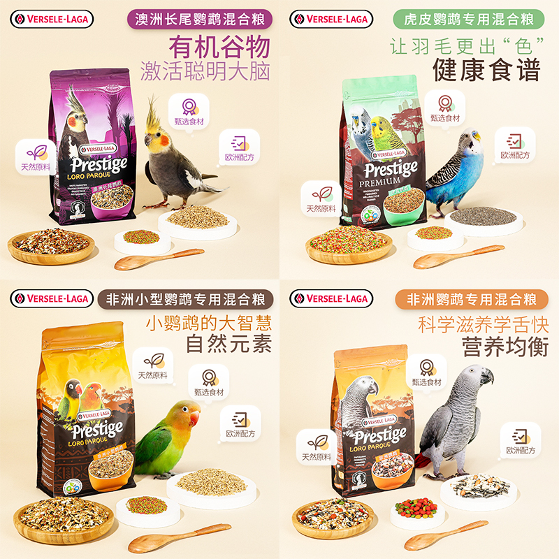 比利时凡赛尔种子粮玄凤牡丹虎皮