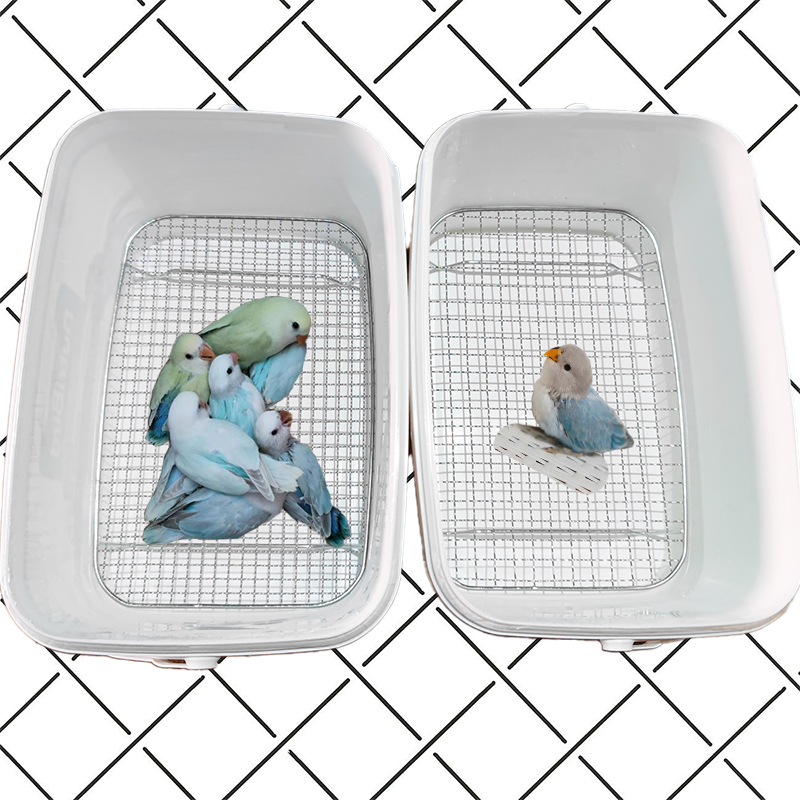 鹦鹉A219奶粉桶饲养盒网垫片