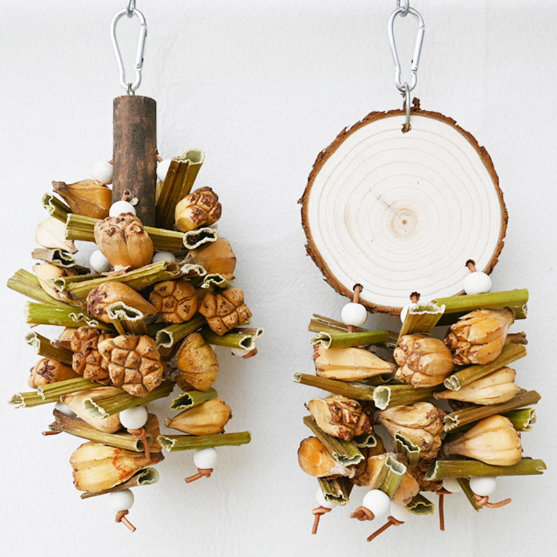 鹦鹉秋千啃咬挂串玄风牡丹虎皮鸟玩具木瓜菠萝果磨牙攀爬笼子用品,宠物/宠物食品及用品,鸟玩具,淘宝优惠券,粉丝福利购,淘宝优惠卷