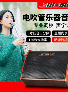 120W大功率鼓机音箱木吉他K歌迷你版专业户外弹唱内录三分频音响